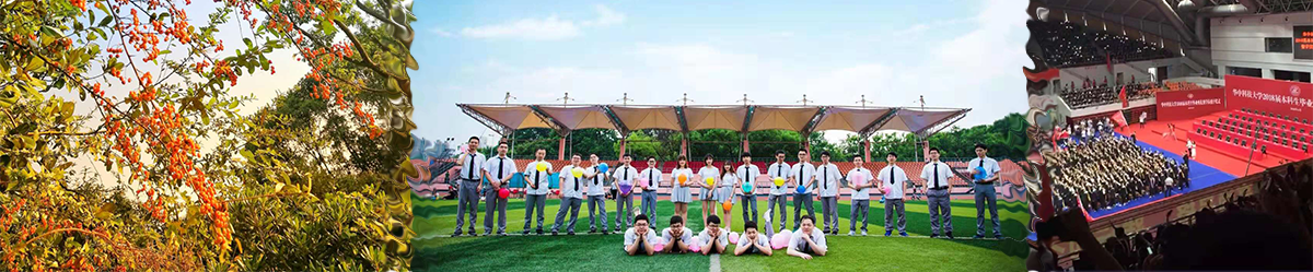 gallery/1_0001_优秀校友